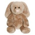 Królik Teddy