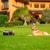 Robot koszący SEGWAY Navimow i105E