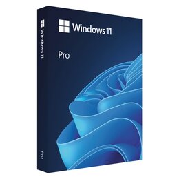 Program MICROSOFT Windows 11 Pro BOX USB 