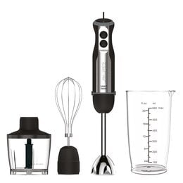 Blender ZELMER Sano ZHB4572 Srebrno-czarny 